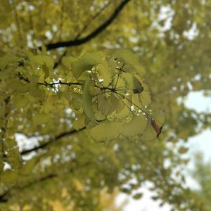 欧美日韩中文字幕在线手机版本
